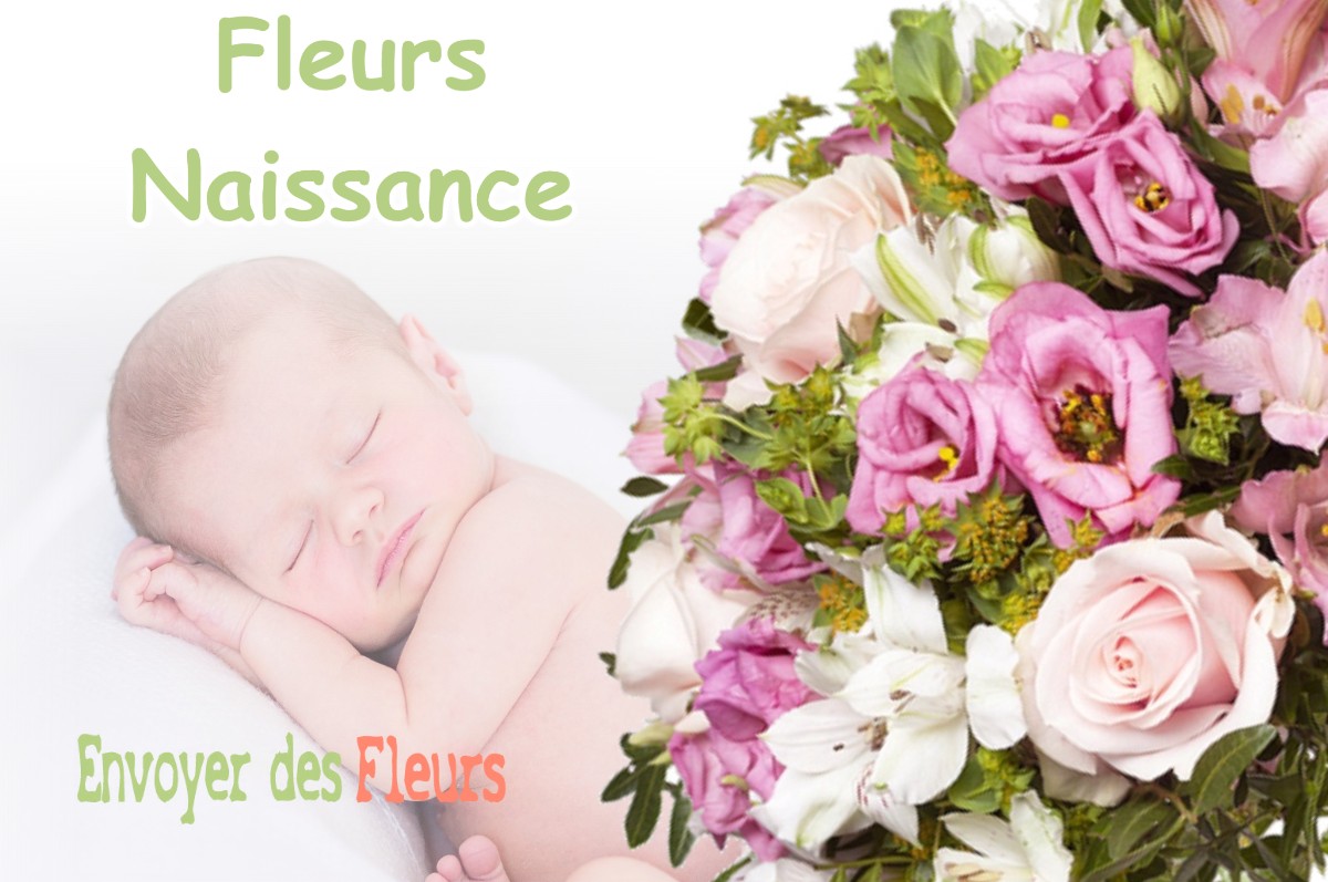 lIVRAISON FLEURS NAISSANCE à MANT